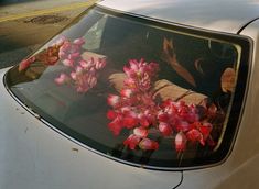 flowers are reflected in the windshield of a white car on a city street with parked cars