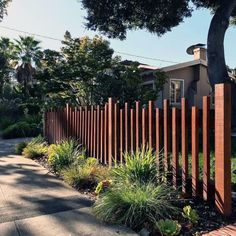 a wooden fence next to a tree and some plants on the side of a road