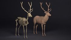 two fake deer standing next to each other in front of a black background with skeleton