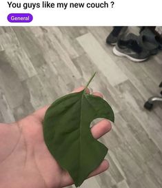 a person holding a leaf in their hand with the caption, you guys like my new couch?