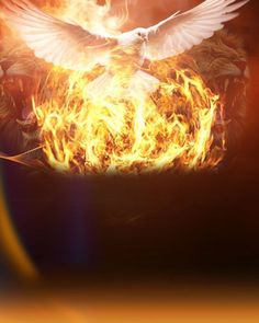 a white bird flying over a fire filled sky with orange and yellow flames behind it