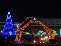 christmas lights are on display in the parking lot