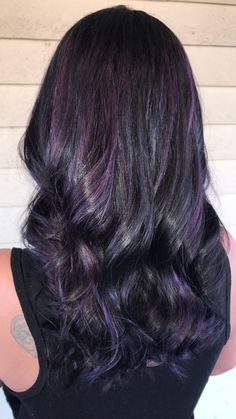 #purplehairdontcare #bluemymind Black Hair With Dark Purple Underneath, Emo Hair Dye Ideas, Black With Dark Purple Highlights, Purple Highlights Curly Hair, Plum Highlights On Dark Hair, Dark Brown Hair With Purple Ends, Purple Toned Black Hair, Putple Hair, Plum Highlights