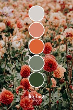 Floral Colour Palette

by Lilybug Graphic Design at www.lilybugdesign.co.nz. Free prints, SVG's, colour palettes and activities! Graphic Design Services as well. Check out our Etsy store! Floral Colour Palette, Color Schemes Colour Palettes, Color Palette Design, Paint Colors For Home, Colour Palettes, Color Wheel