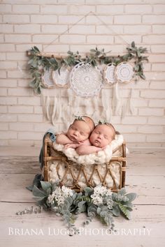 two newborn babies cuddle together in a wicker basket with greenery on the floor