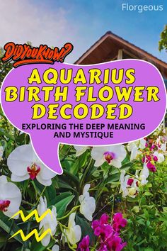 Aquarius Birth Flower Aquarius Birth Flower, Aquarius Flower, February Aquarius, The Aquarius, Deep Meaning