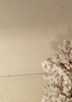 a tree with white flowers in the foreground and a beige wall behind it that has wavy lines