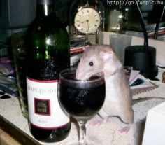 a rat sitting next to a glass of wine