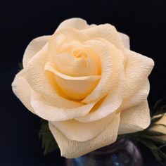 a yellow rose is in a clear vase