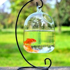 a goldfish in a glass bowl hanging from a black metal holder on top of a wooden table