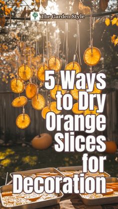 orange slices hanging from the ceiling with text overlay reading 5 ways to dry orange slices for decoration