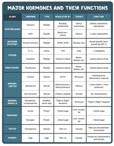 a table with the names and functions of different types of homo homo homo homo homo homo homo