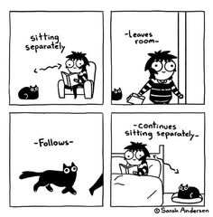 comics about cats and their owners