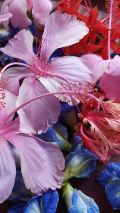 some pink and blue flowers are laying on the ground