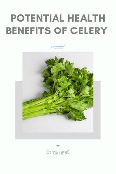 Have you heard of drinking celery juice in the morning as a way to cleanse your body, hydrate, and work on being more alkaline?Celery has been shown to contain a variety of vitamins, minerals and trace elements such as: vitamin k, C, B vitamins, beta-carotene, which convert into vitamins A, iron, magnesium, calcium, potassium, and phosphorus. So, it is safe to say celery juice is a great option for a morning multivitamin drink, but can celery juice really all its cracked up to be? Probiotic Drinks, Low Calorie Drinks, Improve Gut Health, Celery Juice, Eat Seasonal, B Vitamins, Cleanse Your Body, Beta Carotene