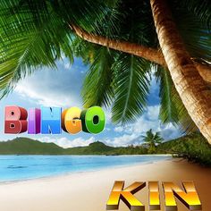 a beach scene with palm trees and the word bingo written in multicolored letters