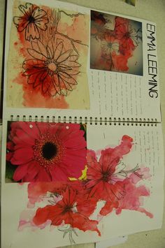 three pictures of red flowers on top of a page in an open book with writing underneath