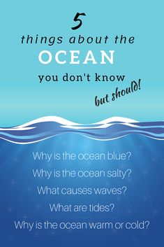 an ocean with the words 5 things about the ocean you don't know but should