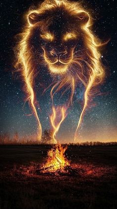 a lion is standing in front of a campfire with its eyes open and glowing at night