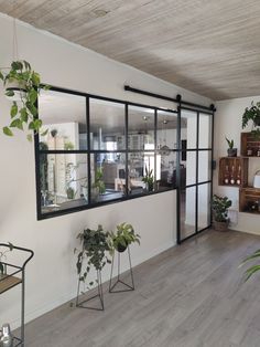 a living room filled with lots of plants next to a wall mounted shelf full of potted plants