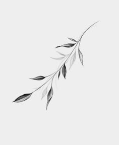 a black and white drawing of leaves