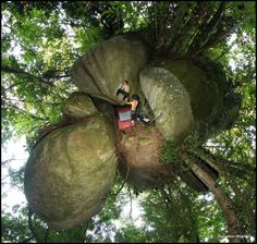 a man sitting on top of a large rock in the middle of a forest