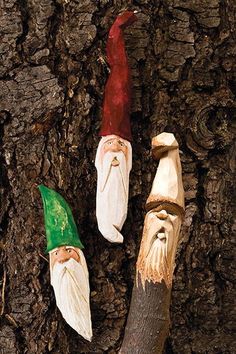 three gnome heads are placed on the bark of a tree