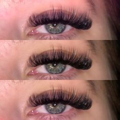 𝓛𝓾𝓬𝔂’𝓼 𝓛𝓪𝓼𝓱 𝓛𝓸𝓾𝓷𝓰𝓮 on Instagram: “LILY LASH🧚🏼‍♀️ Nothing better than a fresh set of wispies🔥✨Had the most incredible first few days back lashing! Thankyou to all my amazing…” Lily Lashes, Beauty Room