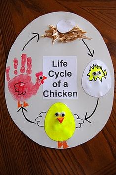 the life cycle of a chicken on a paper plate with handprints and finger prints