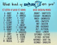 what kind of shark are you? poster on the beach with words in different languages