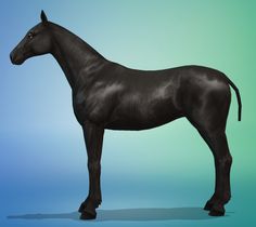 Horses Sims 4, Sims 4 Horse Cc, Mods Ts4, Horse Walker, Horse Template, Horse Stencil, Horse Markings, Horse Coats, Sims Wallpaper