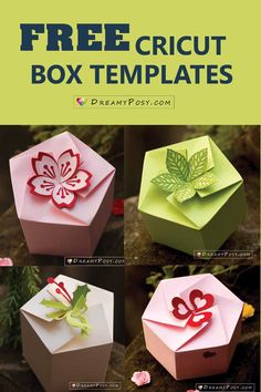 an origami box with flowers and leaves on it is featured in the book free cricut box templates