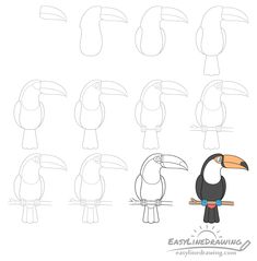 how to draw a cartoon toucan bird with step by step instructions for kids