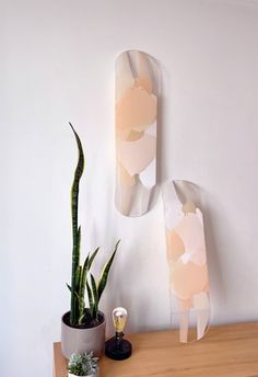 Neutral colored resin layered on clear acrylic skateboard decks hanging from wall. Cool Color Palettes, Skateboard Wall Mount, Skateboard Artwork, Deck Art, Skateboard Deck Art, Skateboard Wall, Skateboard Wall Art, Cool Color Palette, Organic Aesthetic