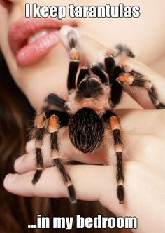 a woman holding a taranula in her hand with the caption i keep taranulasa's in my bedroom