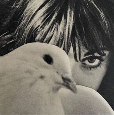 a woman holding a white bird in her right hand and looking at the camera with an intense look on her face