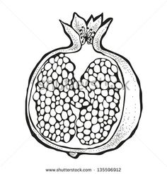 a pomegranate on a white background, hand drawn in black and white