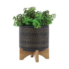 a potted plant on a wooden stand with green plants in the top and bottom