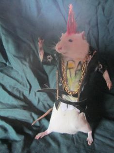 a rat with red hair and chains on it's back sitting on a bed