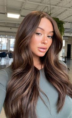 Brown Glossed Hair, Fall Medium Brunette Hair Color, Rich Brown Dimensional Hair, Tone Down Highlights Brunettes, Natural Beige Hair Color, Fall Balayage Brown Hair, Chocolate Brown Hair With Light Brown, Hair Trends 2023 Brunette, Trending Brown Hair Color 2023