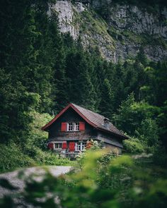 a house in the woods with red shutters on it's windows is surrounded by trees