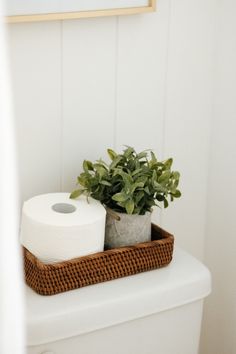 a toilet with a plant in it and a roll of toilet paper