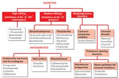 a diagram showing the structure of an antioxidamide and its associated ingredients, including glycocycline