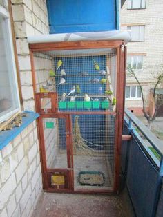 a bird cage with birds in it on top of a building next to a window