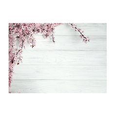 pink flowers on white wood background