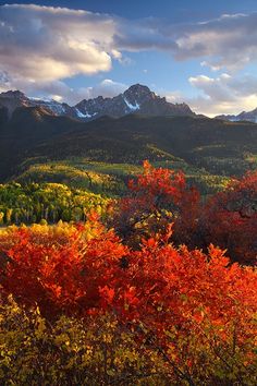 the mountains are covered in autumn foliage and trees with red, yellow, green, and orange leaves