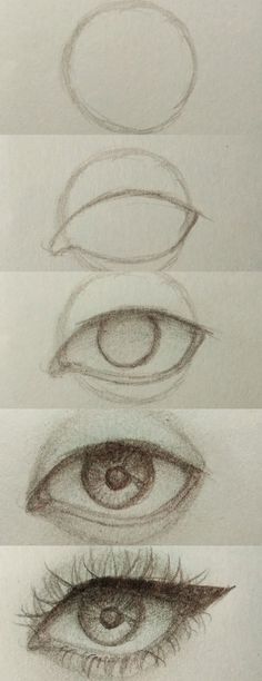 three different types of eyes are shown in this drawing