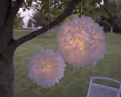 two white paper flowers hanging from a tree in the evening time with lights on them