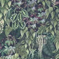 many different types of leaves and plants in the same pattern on a wallpapered surface