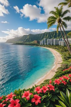 🌺 Ultimate Guide to Planning Your Dream Vacation in Hawaii 🌴 Hawaii City, Hawaii Background, Summer In Hawaii, Hawaii Vacation Aesthetic, Best Hawaiian Island, Hamilton Island, Visit Hawaii